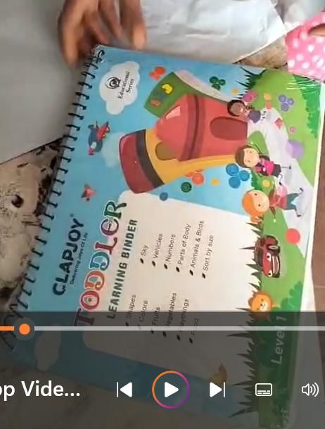 Toddler Learning Binder - bazaarOwl